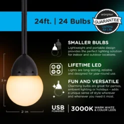 Enbrighten Bistro USB-Powered Color Changing LED Cafe Lights, 24 Bulbs, 24ft. Black Cord