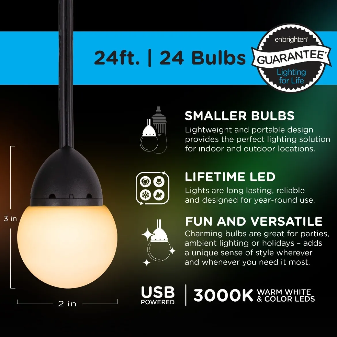Enbrighten Bistro USB-Powered Color Changing LED Cafe Lights, 24 Bulbs, 24ft. Black Cord