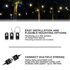 Enbrighten Classic LED Cafe Lights, 24 Bulbs, 48ft. Black Cord
