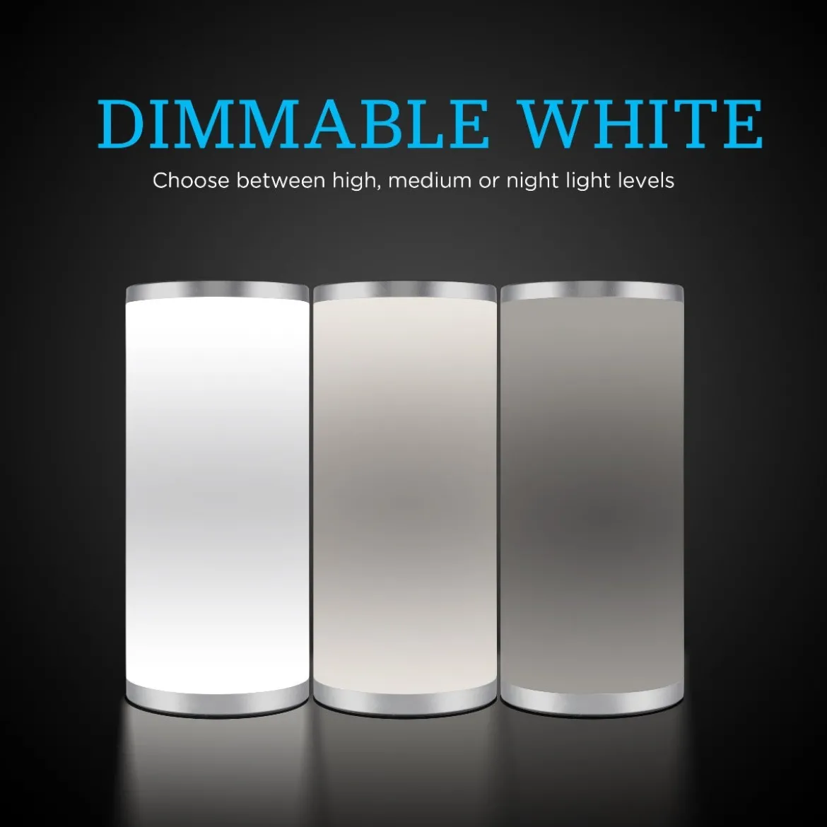 Enbrighten Color Fusion Dimmable Color Changing LED Tabletop Lamp, Silver