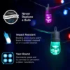Enbrighten Ecoscapes Seasons Color-Changing LED Cafe Lights, 10 Bulbs, 20ft. Black Cord