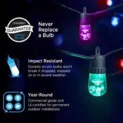 Enbrighten Ecoscapes Seasons Color-Changing LED Cafe Lights, 10 Bulbs, 20ft. Black Cord