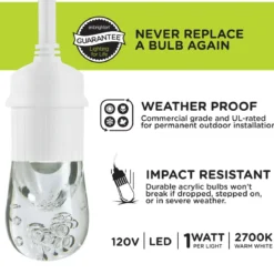 Enbrighten Light Bundle Classic LED Cafe Lights (6 Bulbs, 12ft. White Cord) and 6 Stainless Steel Cage Shades