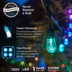 Enbrighten Seasons Color-Changing Vintage LED Cafe Lights, 12 Bulbs, 24ft. Black Cord
