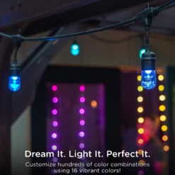 Enbrighten Seasons Color-Changing Classic LED Cafe Lights, 20 Bulbs, 40ft. Black Cord