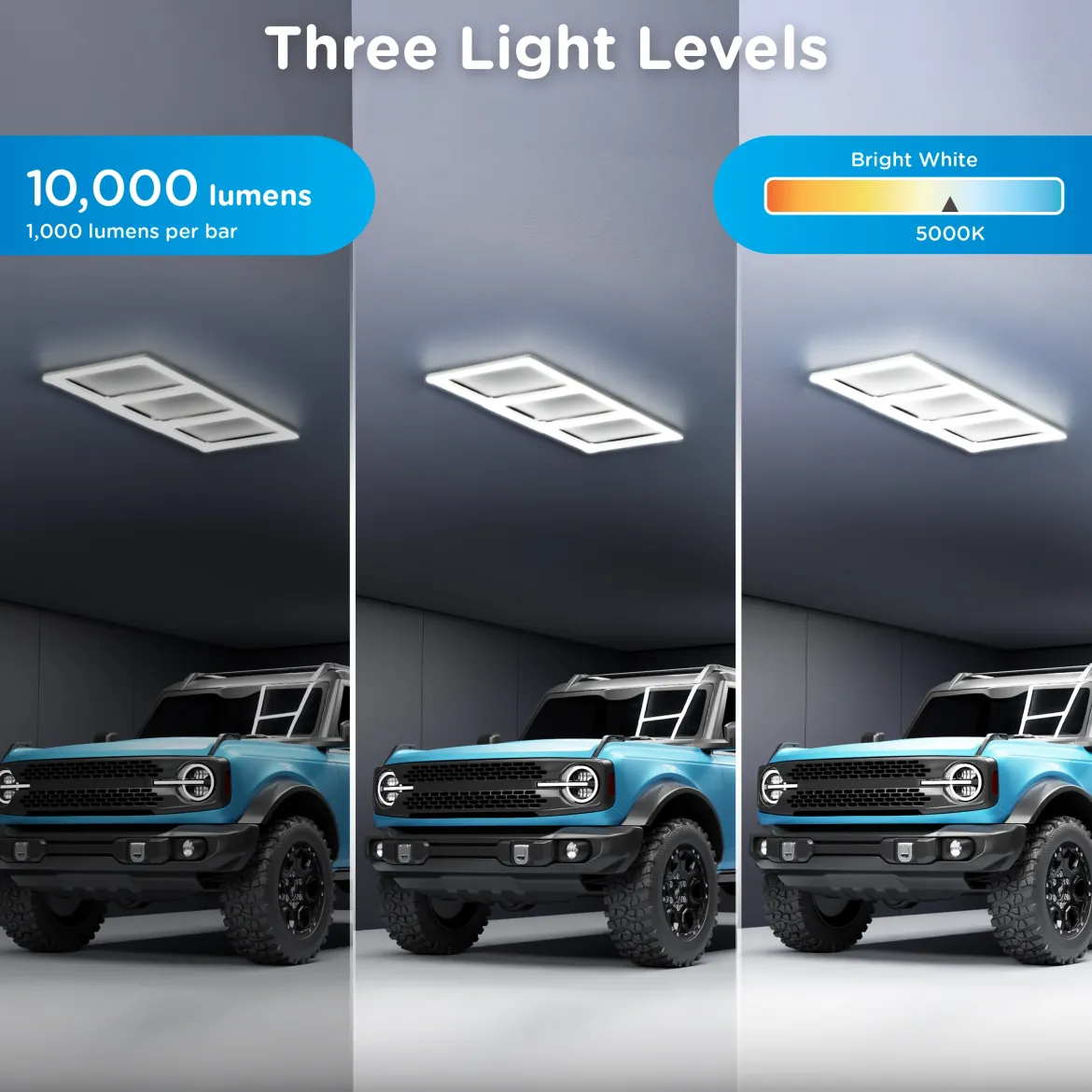 Enbrighten UltraBrite Rex Lights, 10 Light Bars