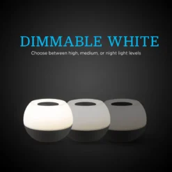 Enbrighten USB-Powered Color-Changing Tabletop LED Mini Bowl Night Light, Gray