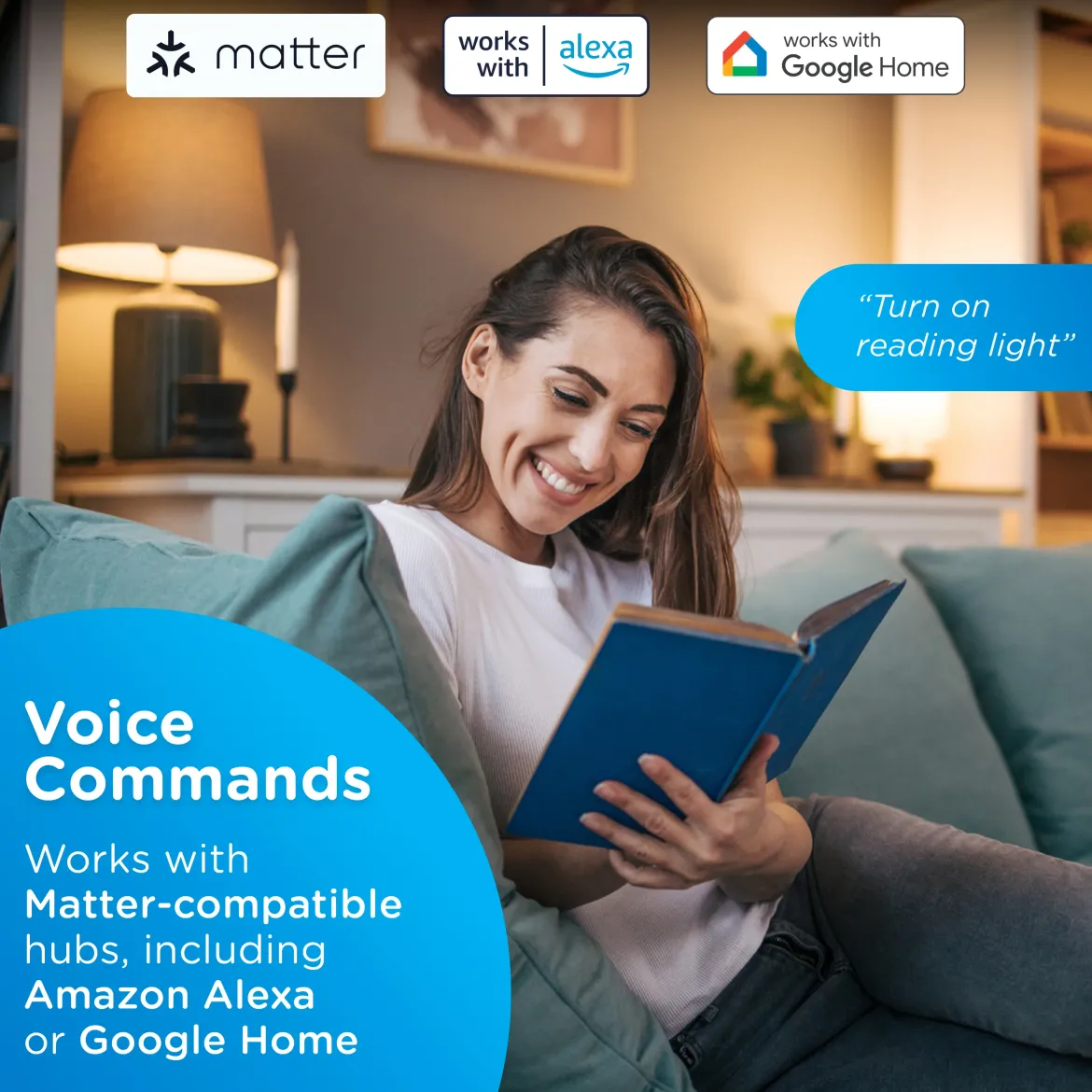 Enbrighten Vibe Indoor Dual-Outlet Wi‑Fi Matter Smart Plug