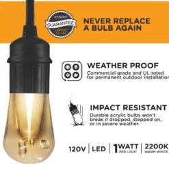 Enbrighten Vintage LED Cafe Lights, 24 Bulbs, 48ft. Black Cord