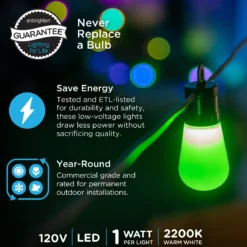 Enbrighten WiFi VIBE Color-Changing Lightweight LED Cafe Lights, 30 Plastic Bulbs, 96ft. Black Cord