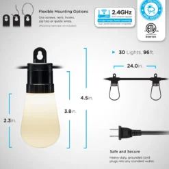 Enbrighten WiFi VIBE Color-Changing Lightweight LED Cafe Lights, 30 Plastic Bulbs, 96ft. Black Cord