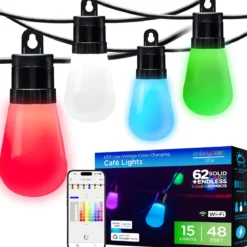Enbrighten WiFi VIBE Color-Changing Lightweight LED Cafe Lights, 15 Plastic Bulbs, 48ft. Black Cord
