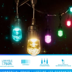 Enbrighten WiFi VIBE Color-Changing Classic LED Cafe Lights, 24 Bulbs, 48ft. Black Cord