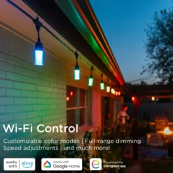 Enbrighten WiFi VIBE Modern Color-Changing LED Cafe Lights, 12 Bulbs, 24ft. Black Cord