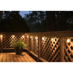 Lights by Night LED Bistro String Lights, 24 Bulbs, 48ft. Black Cord