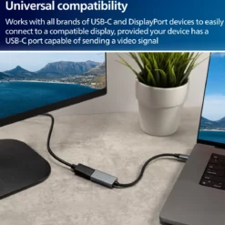 Philips USB-C to DisplayPort Adapter, Silver
