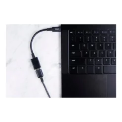 Philips USB-C to USB-A Female Adapter, Black